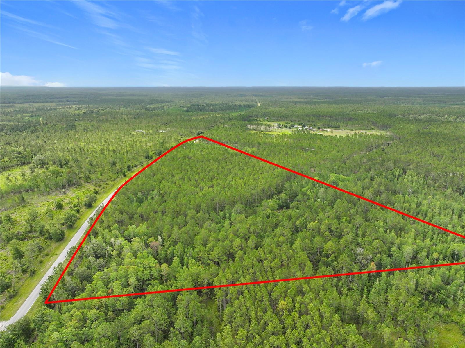Image 13 of 19 For Tbd Cr 336  