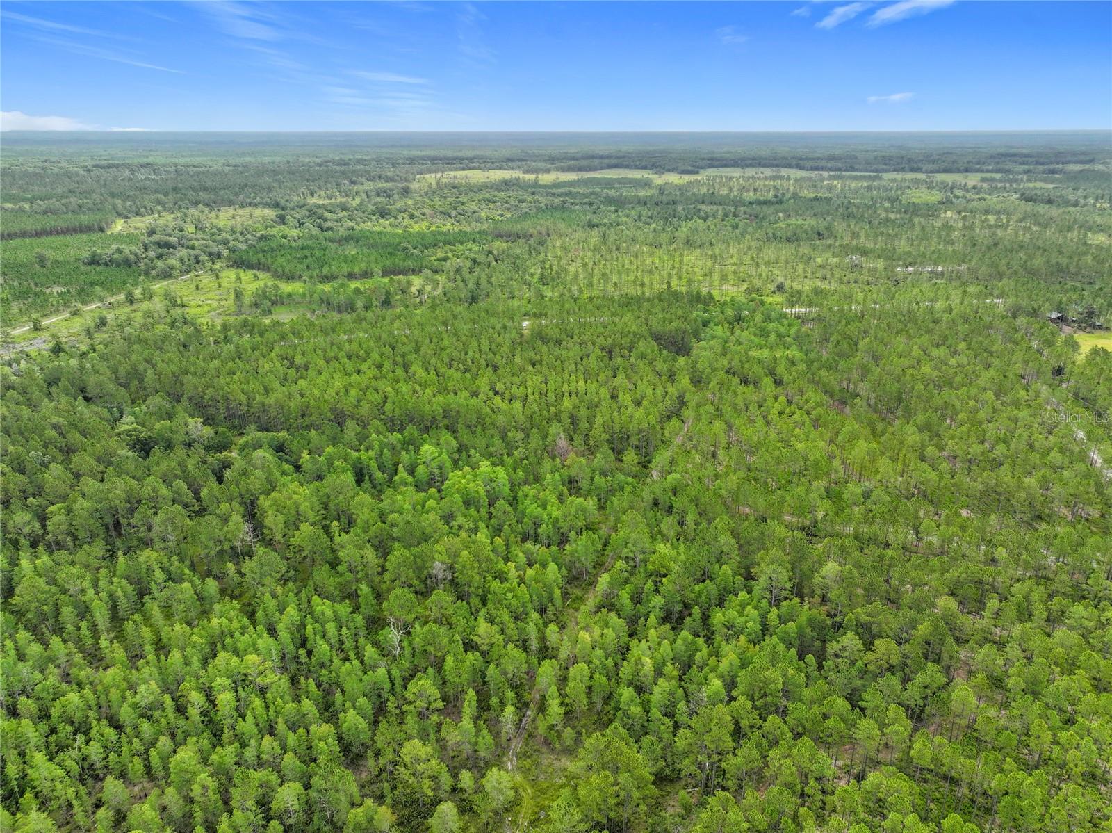 Image 14 of 19 For Tbd Cr 336  