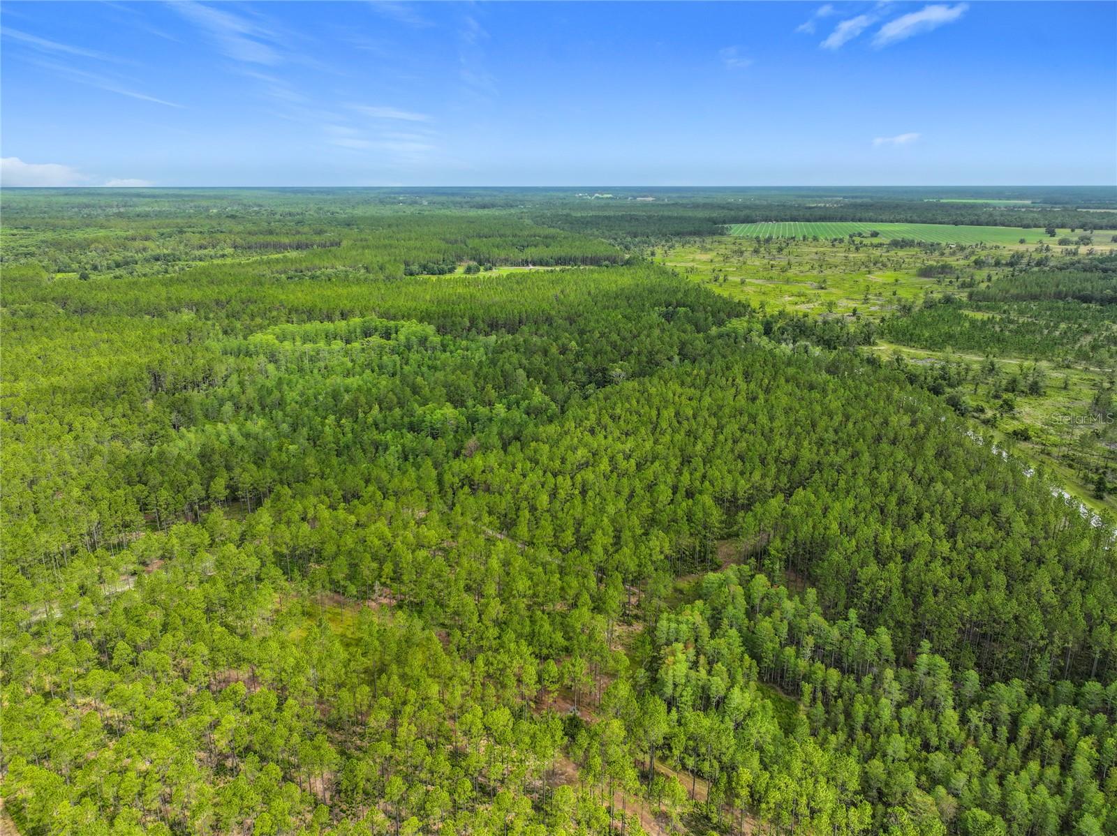Image 15 of 19 For Tbd Cr 336  