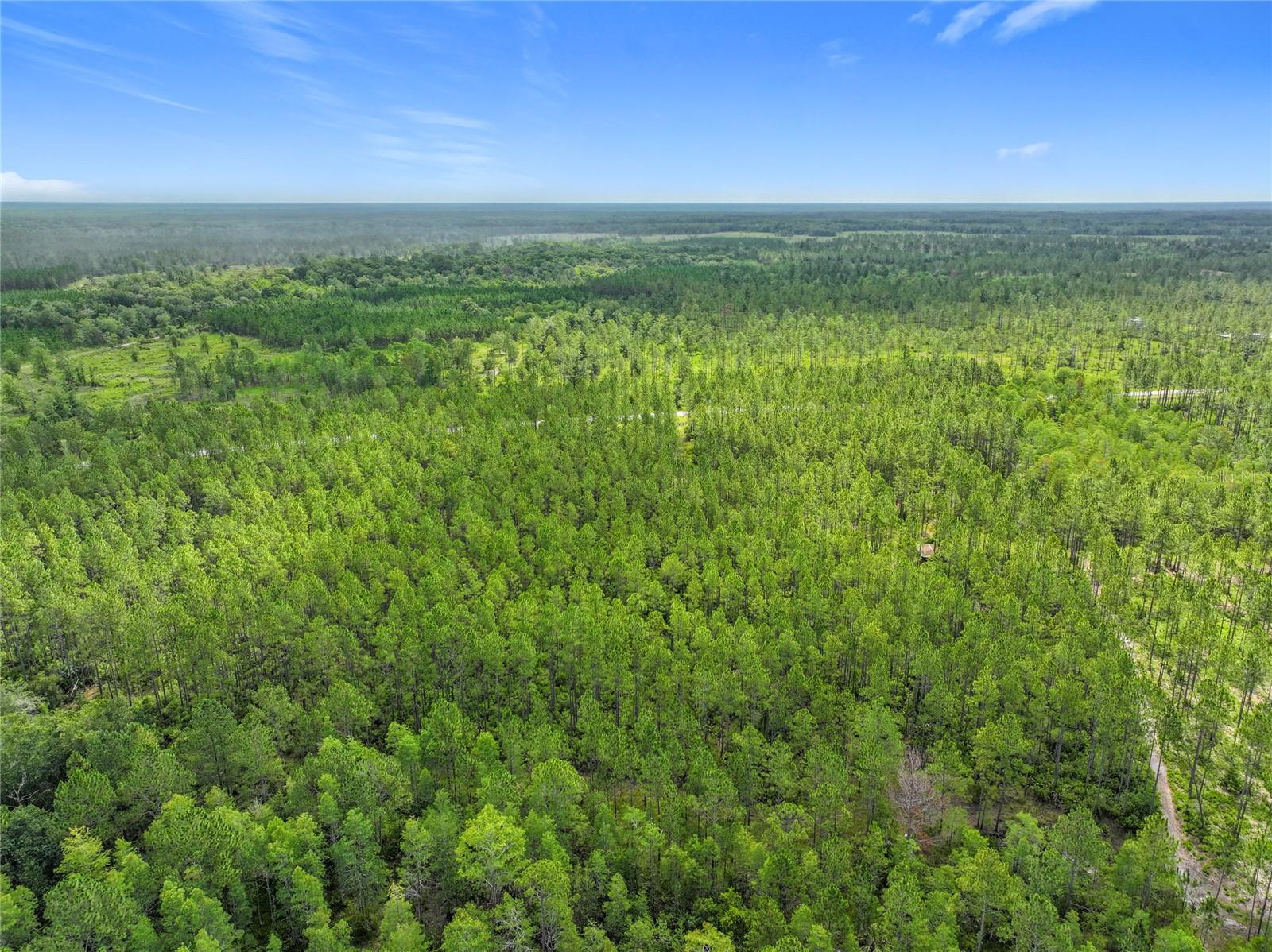 Image 16 of 19 For Tbd Cr 336  
