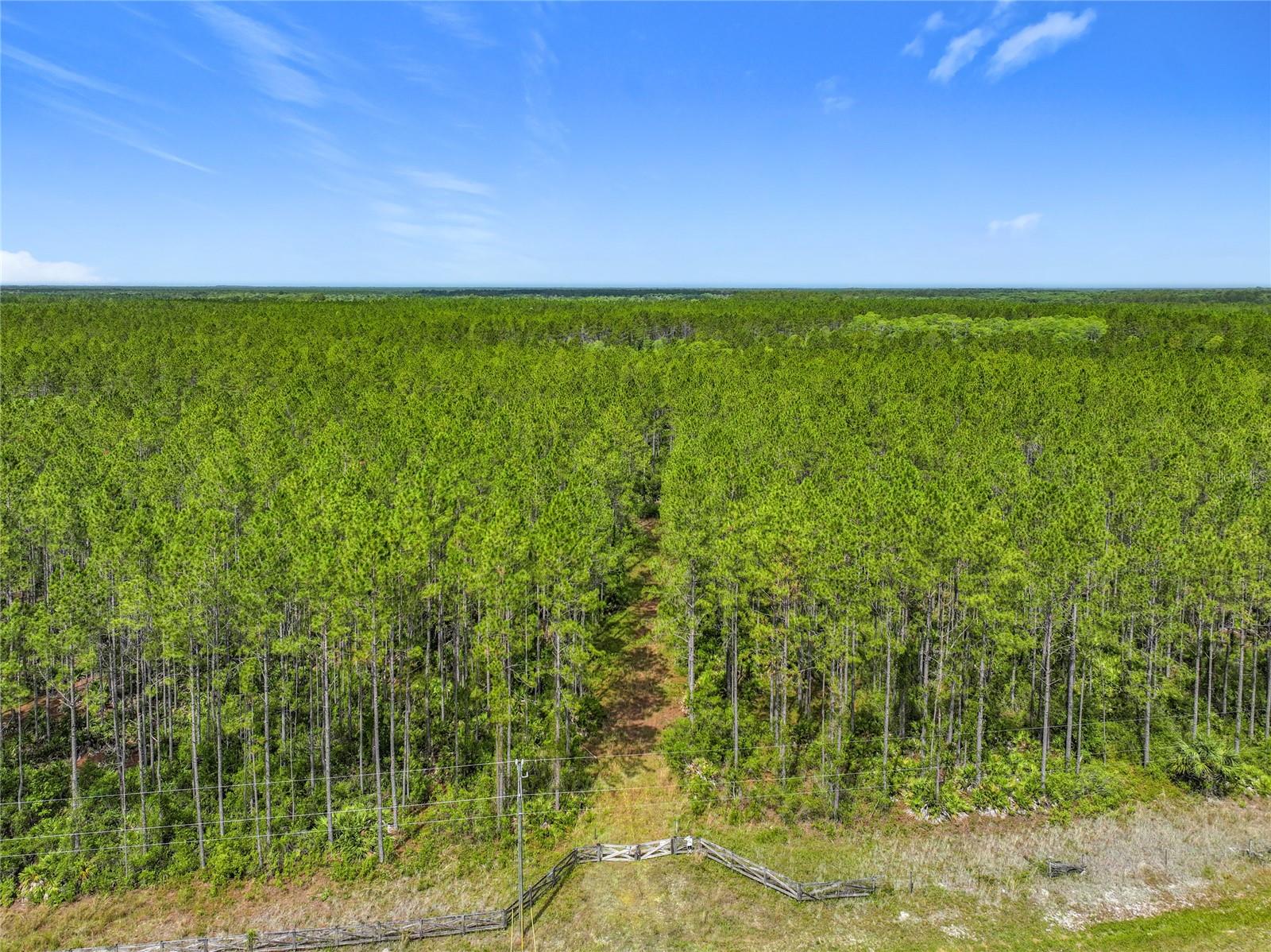 Image 17 of 19 For Tbd Cr 336  