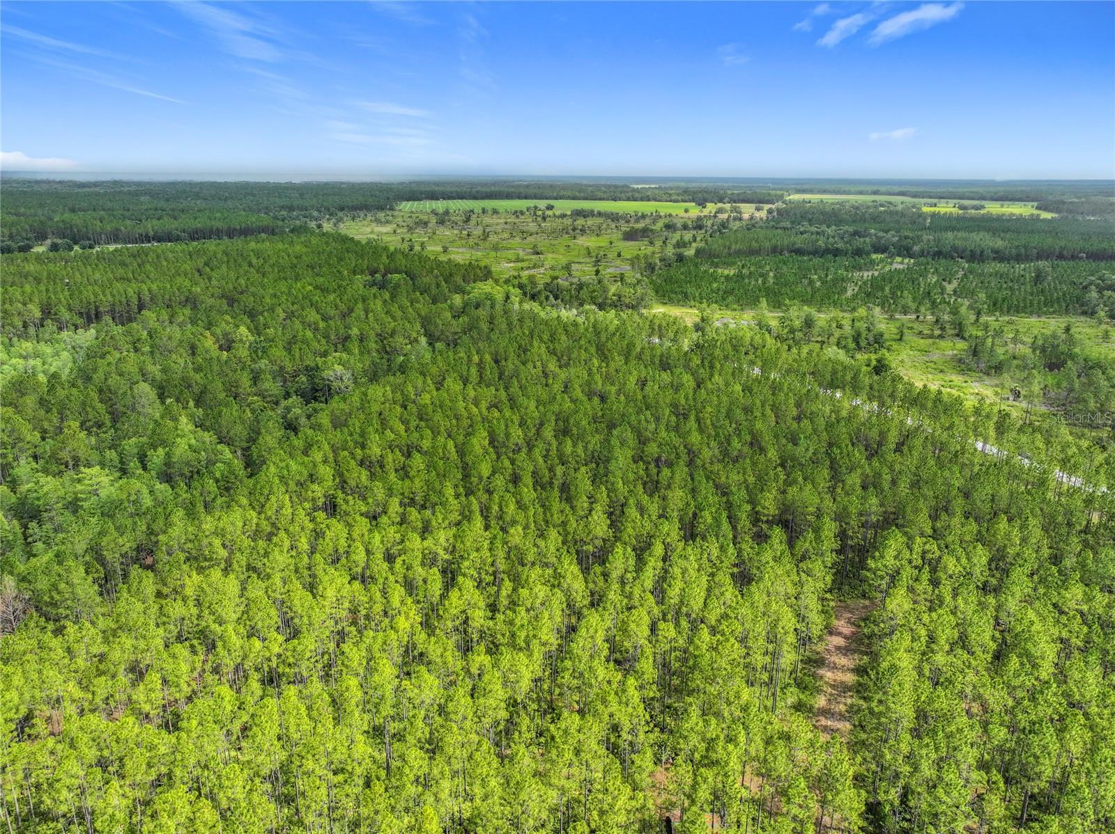 Image 19 of 19 For Tbd Cr 336  