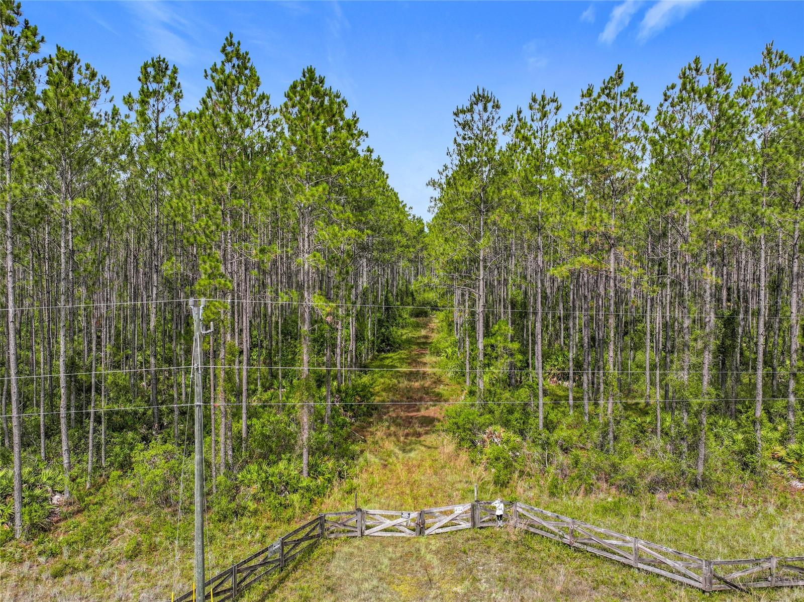 Image 2 of 19 For Tbd Cr 336  