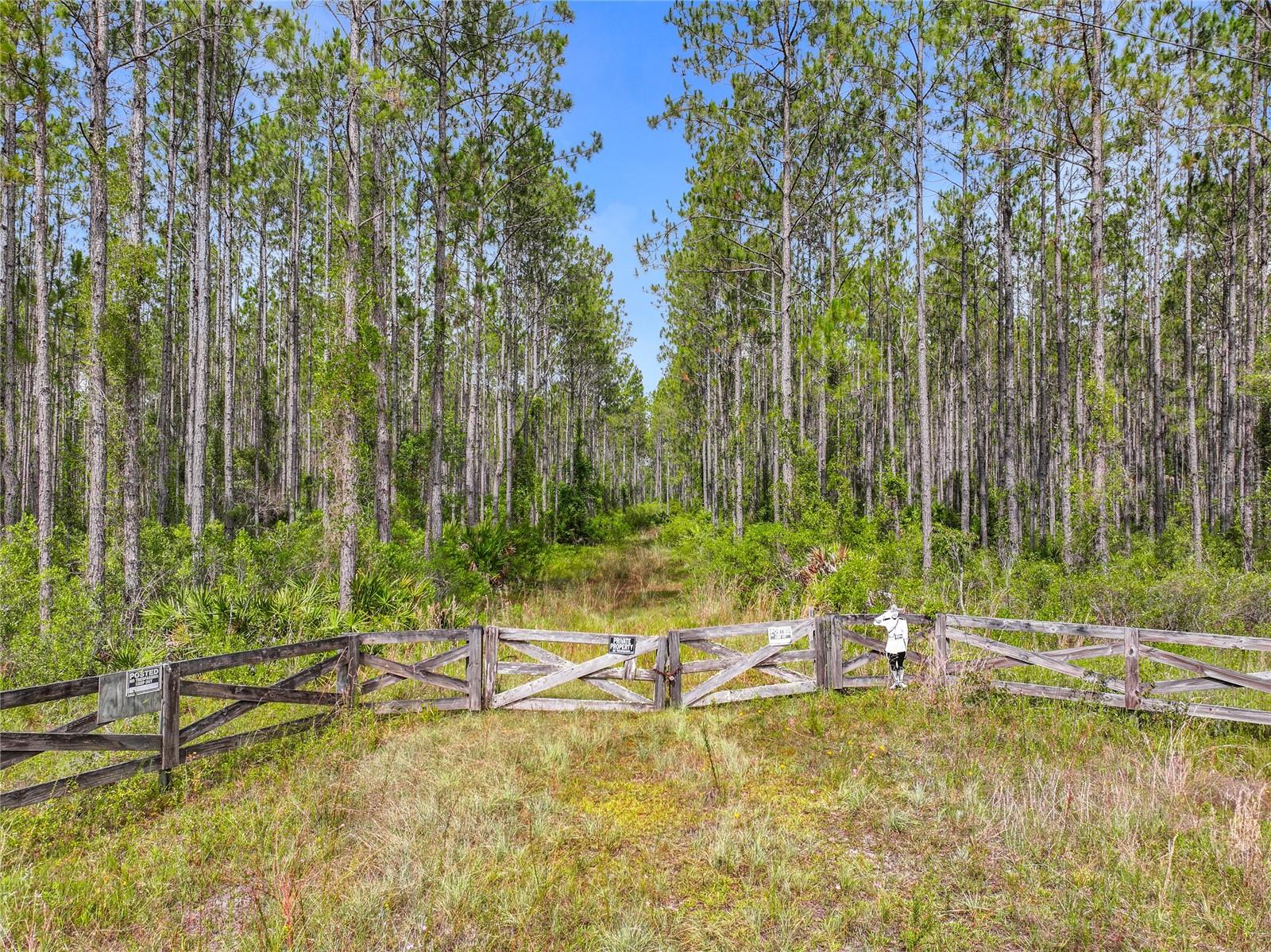 Image 3 of 19 For Tbd Cr 336  