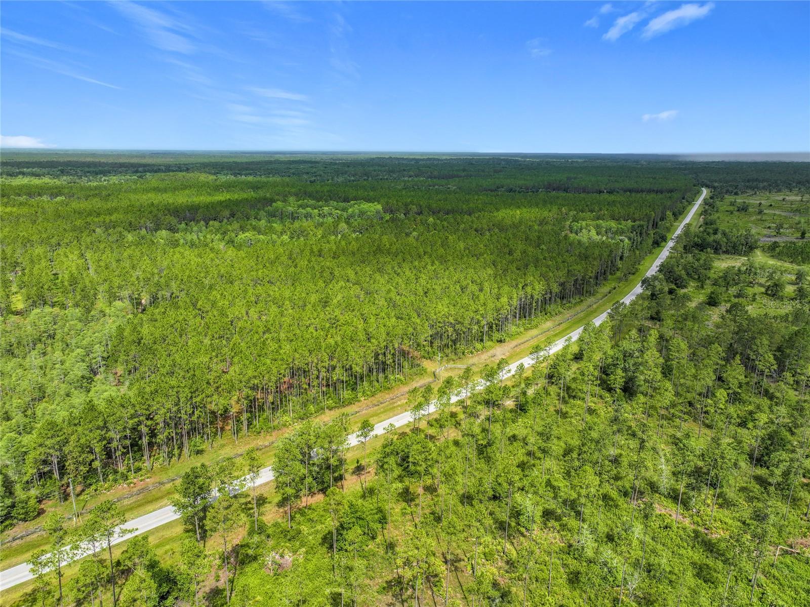 Image 5 of 19 For Tbd Cr 336  