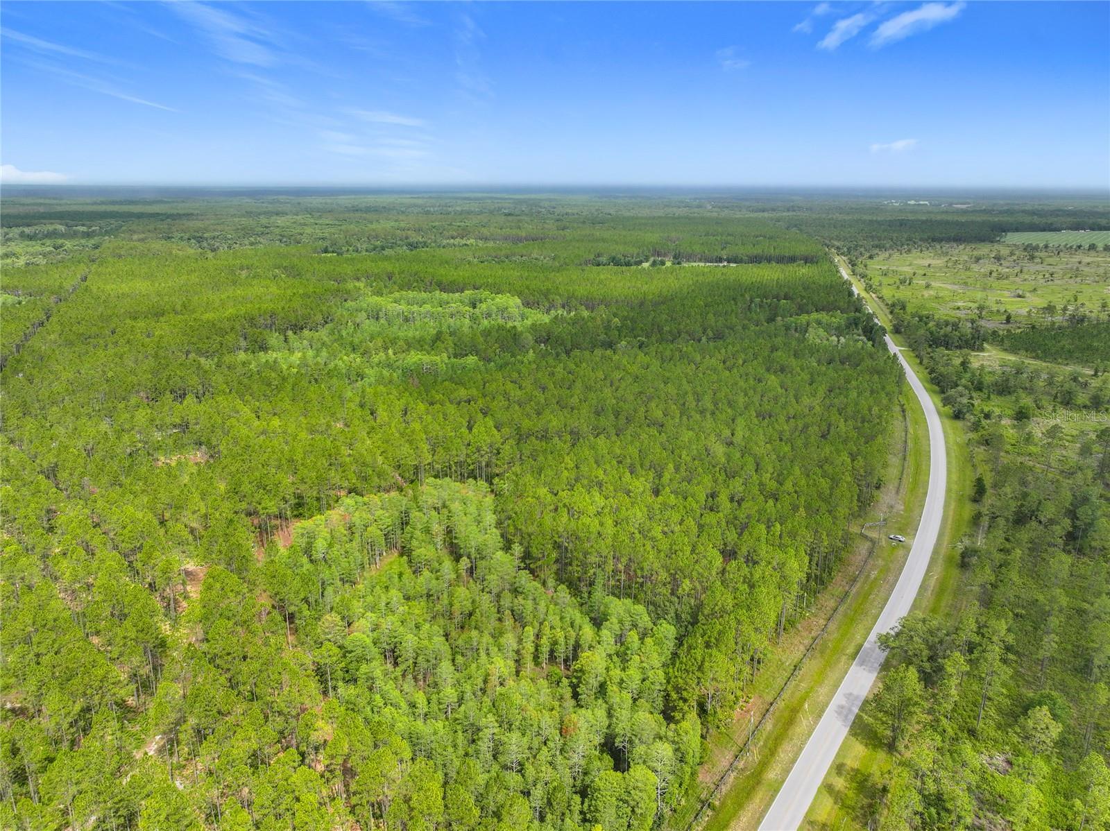 Image 7 of 19 For Tbd Cr 336  