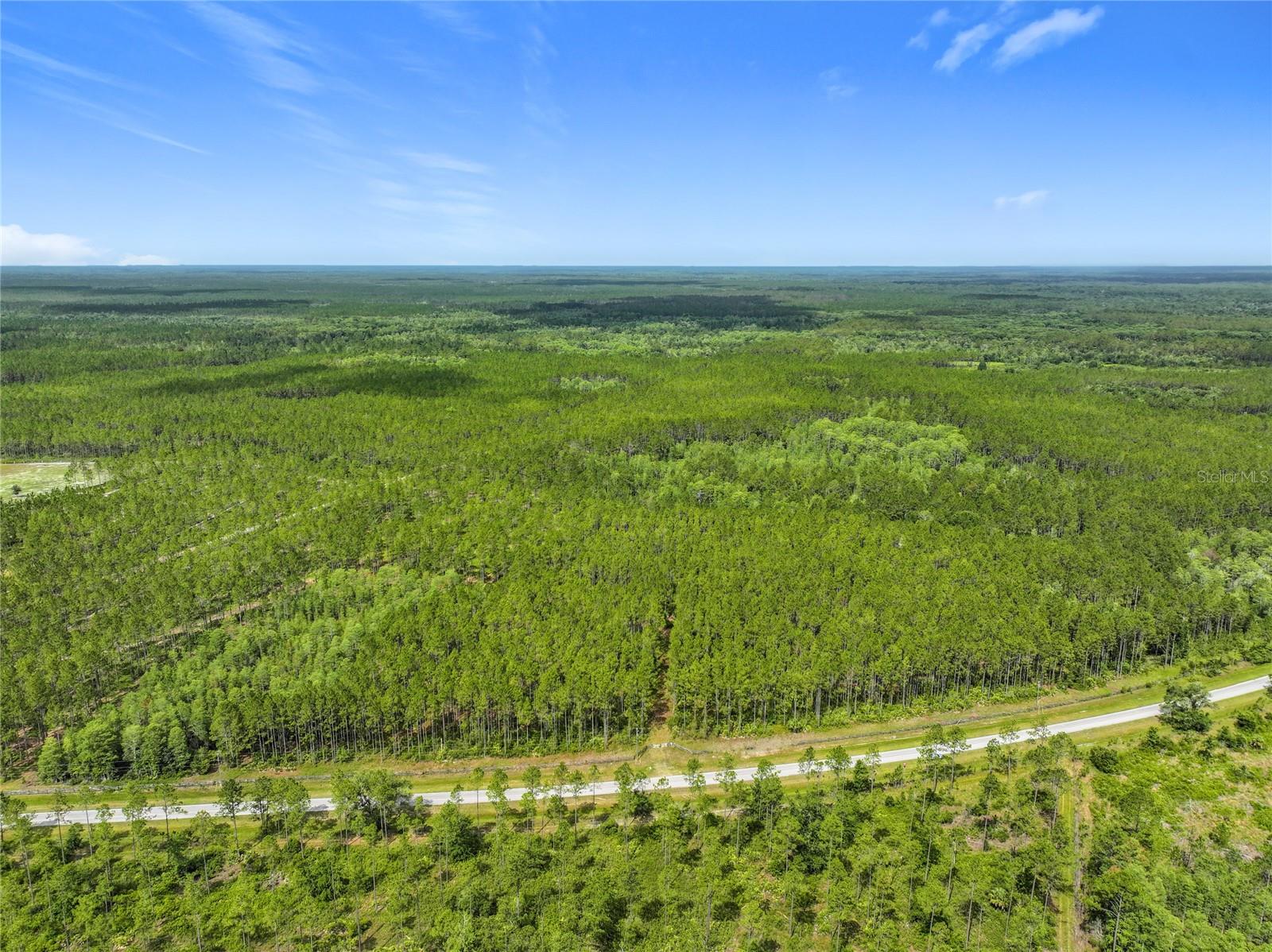 Image 8 of 19 For Tbd Cr 336  
