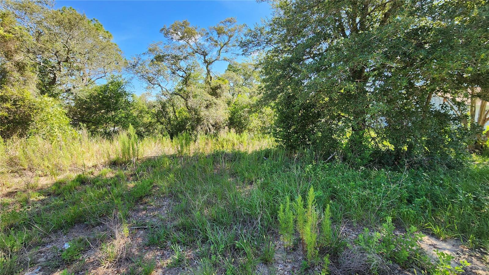Details for 12501 Centennial Street, Spring Hill, FL 34609