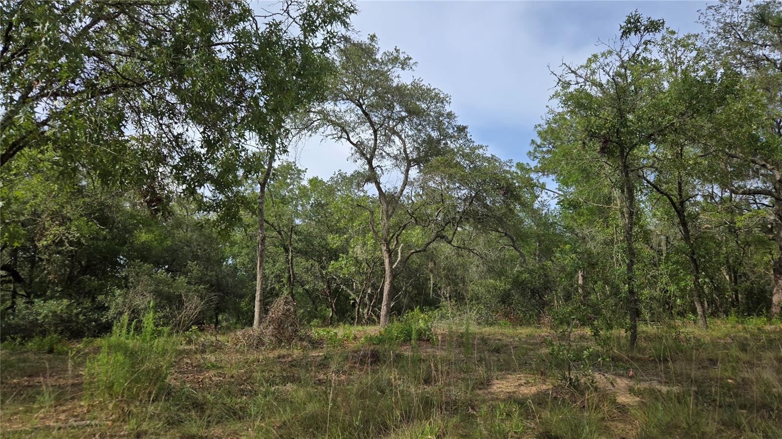 Image 10 of 45 For 4771 Redwood Avenue