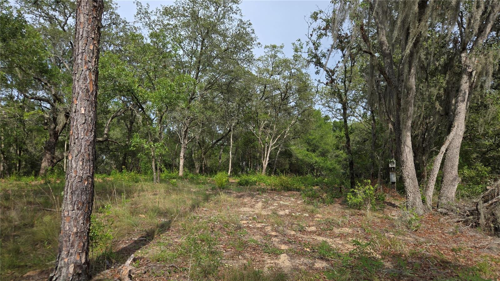 Image 11 of 45 For 4771 Redwood Avenue