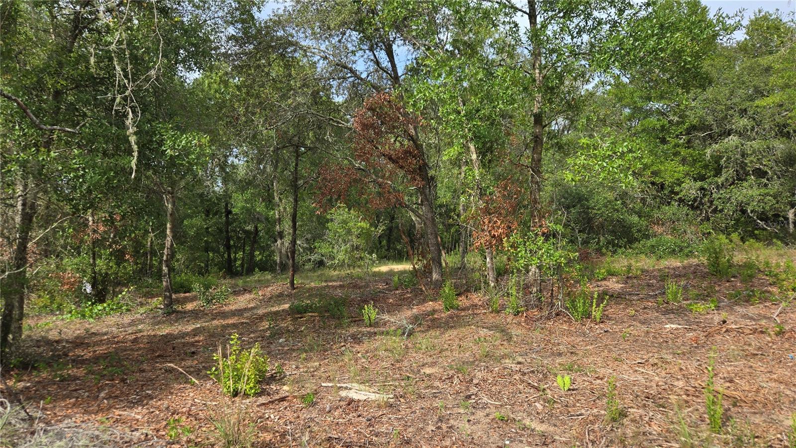 Image 22 of 45 For 4771 Redwood Avenue