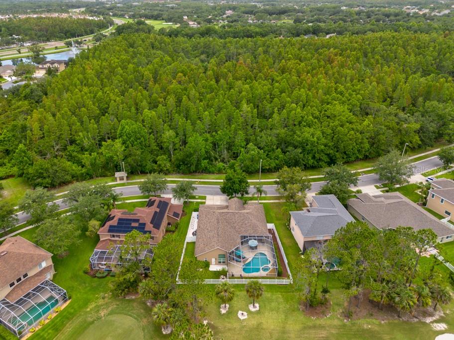 Image 49 of 59 For 10532 Plantation Bay Drive