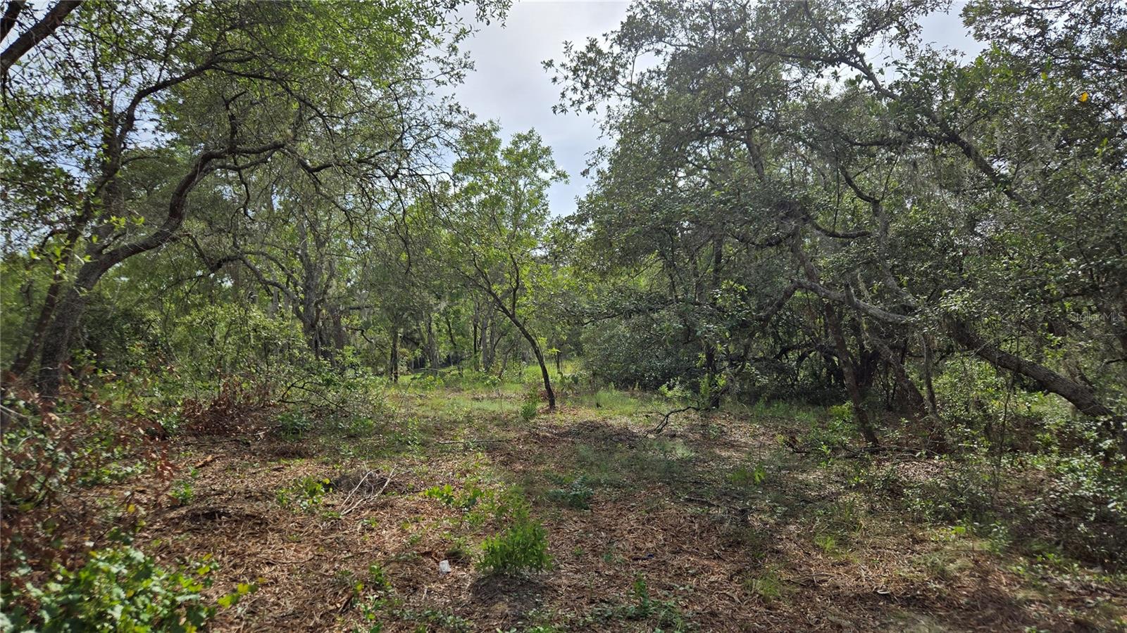 Image 17 of 25 For 4811 Redwood Avenue