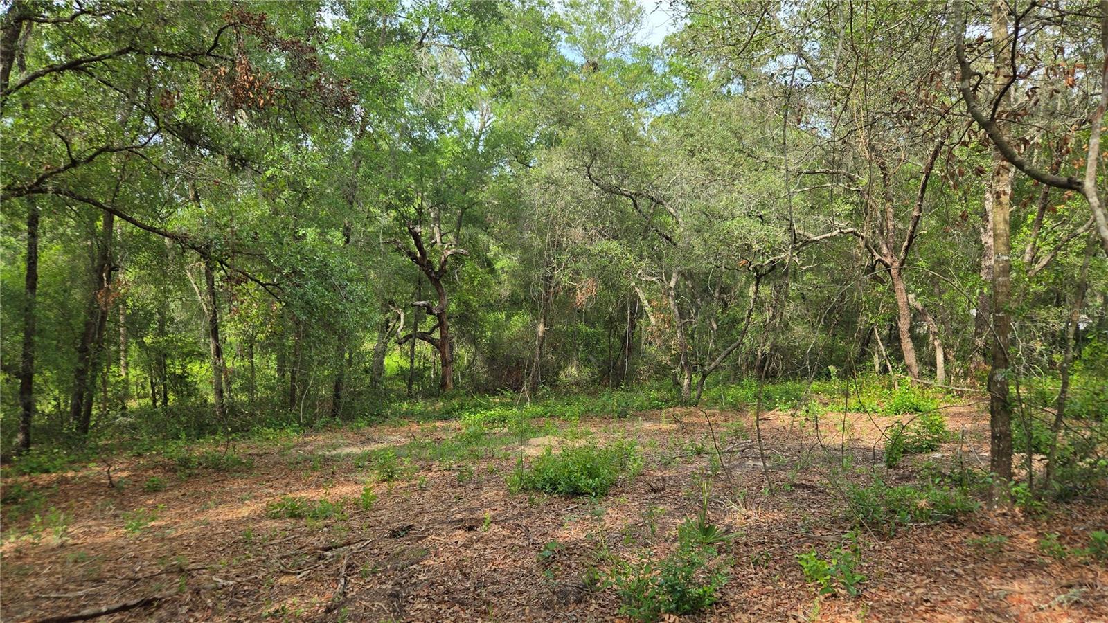 Image 19 of 25 For 4811 Redwood Avenue