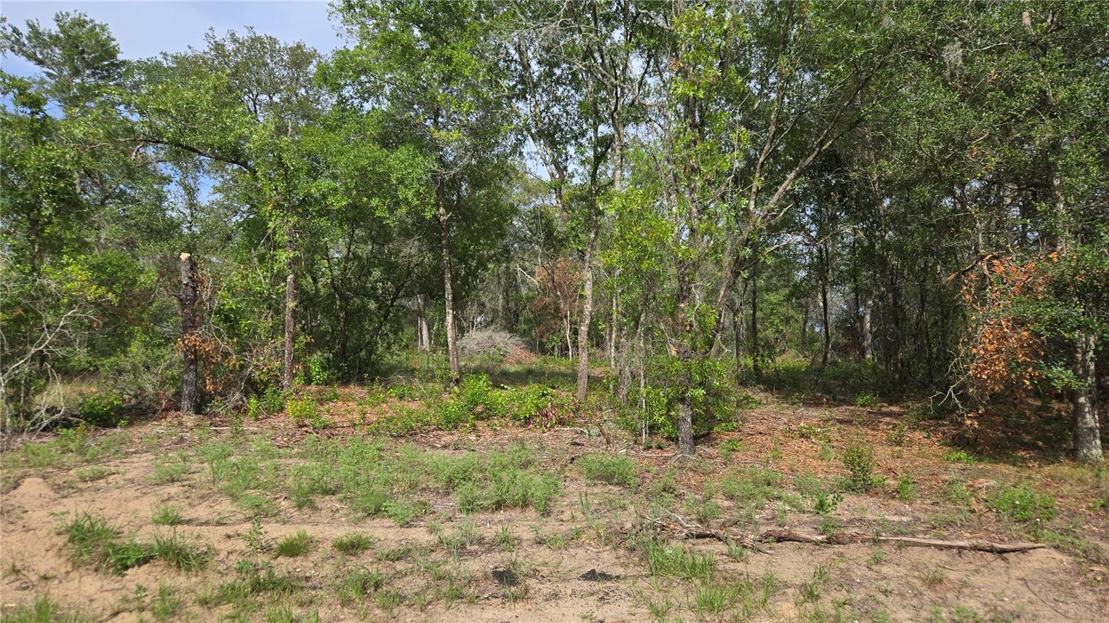 Image 8 of 25 For 4811 Redwood Avenue