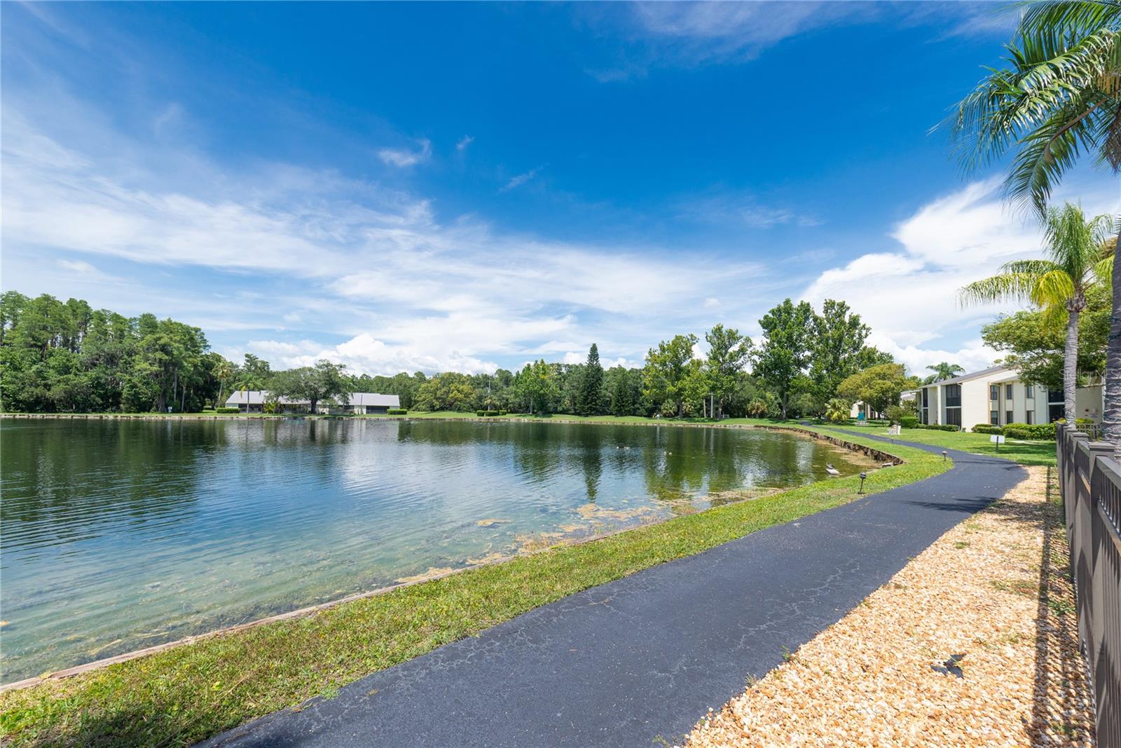 Image 4 of 47 For 3114 Lake Pine Way H2