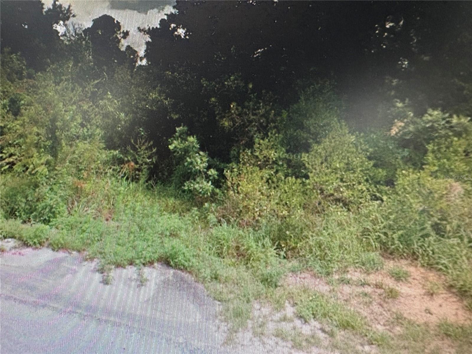 Image 4 of 8 For  Rose Avenue 