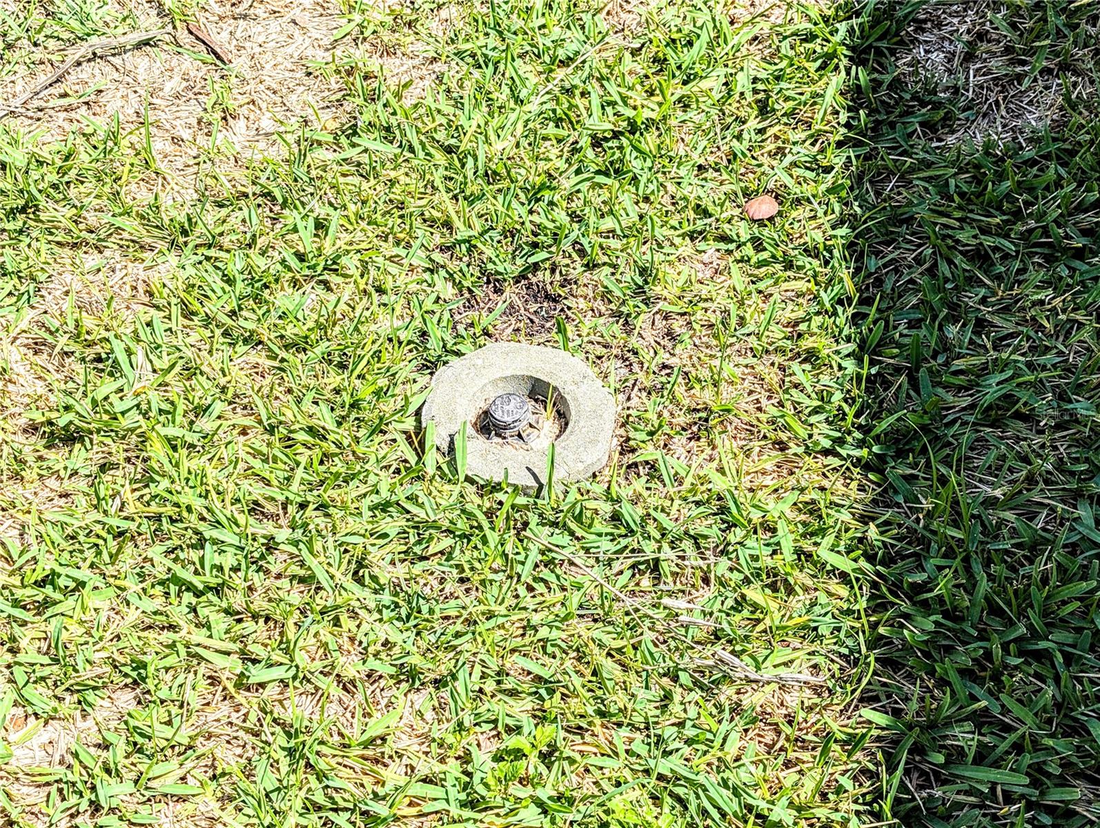 Image 27 of 27 For 6621 Kumquat Drive