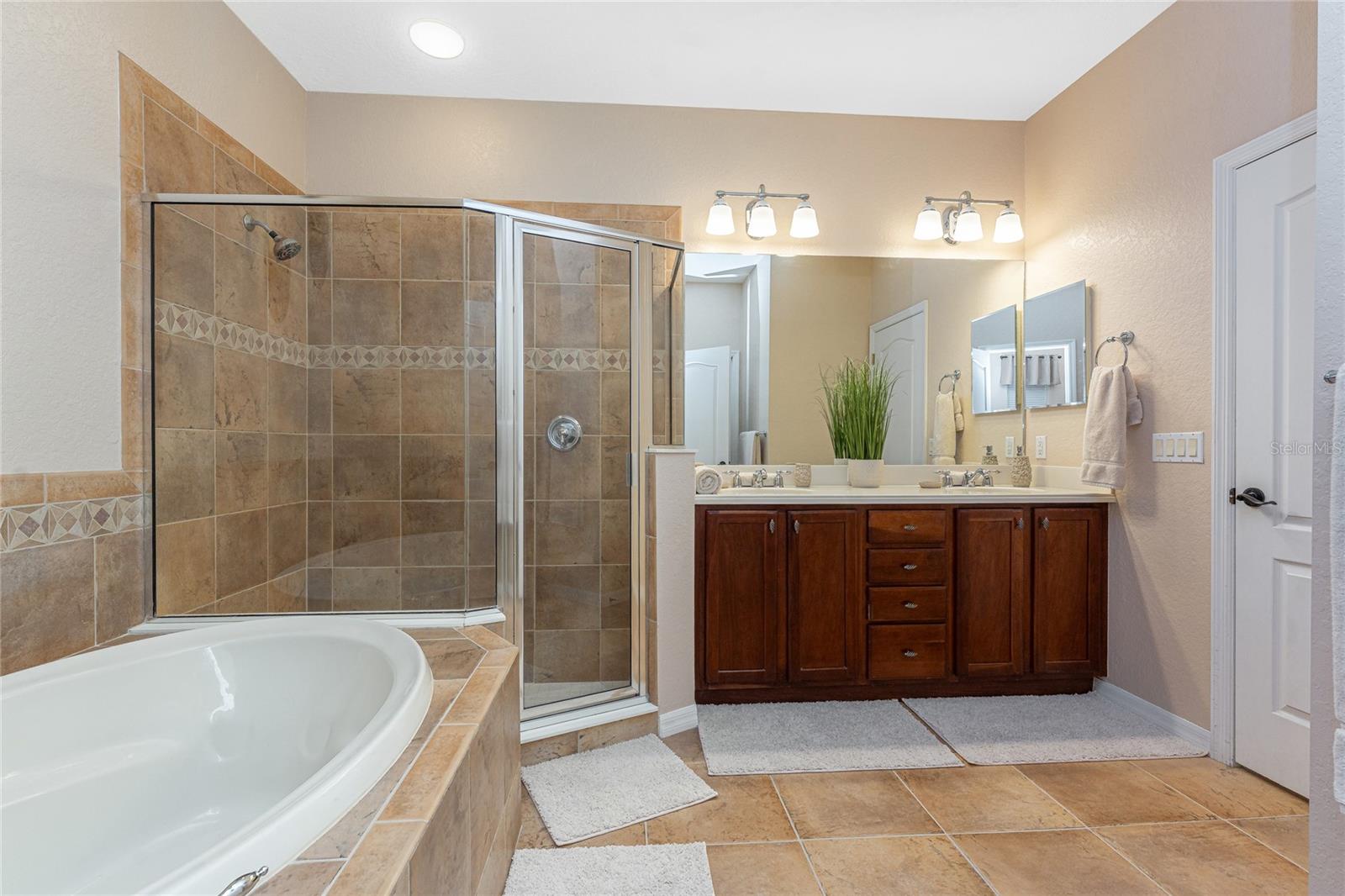 Image 30 of 49 For 11343 Dancing River Drive