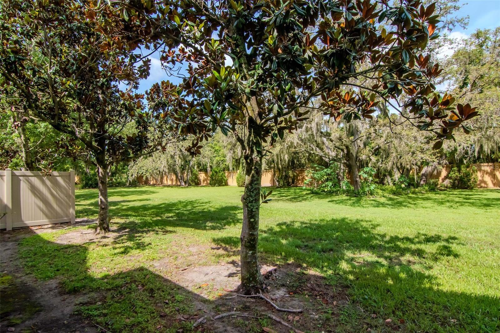 Image 27 of 43 For 9317 Stone River Place