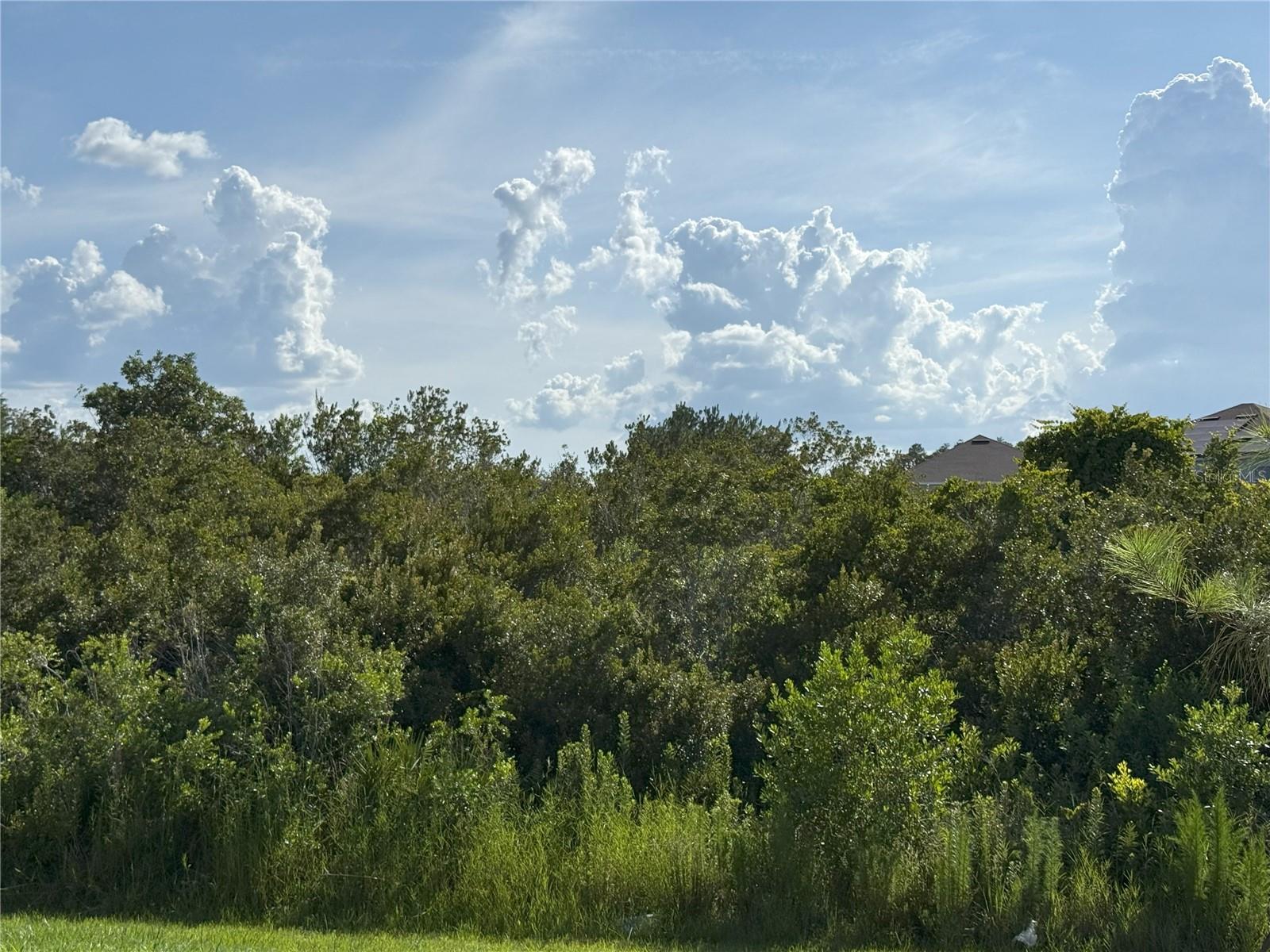 Listing photo id 1 for 2113 Warren Acres Boulevard