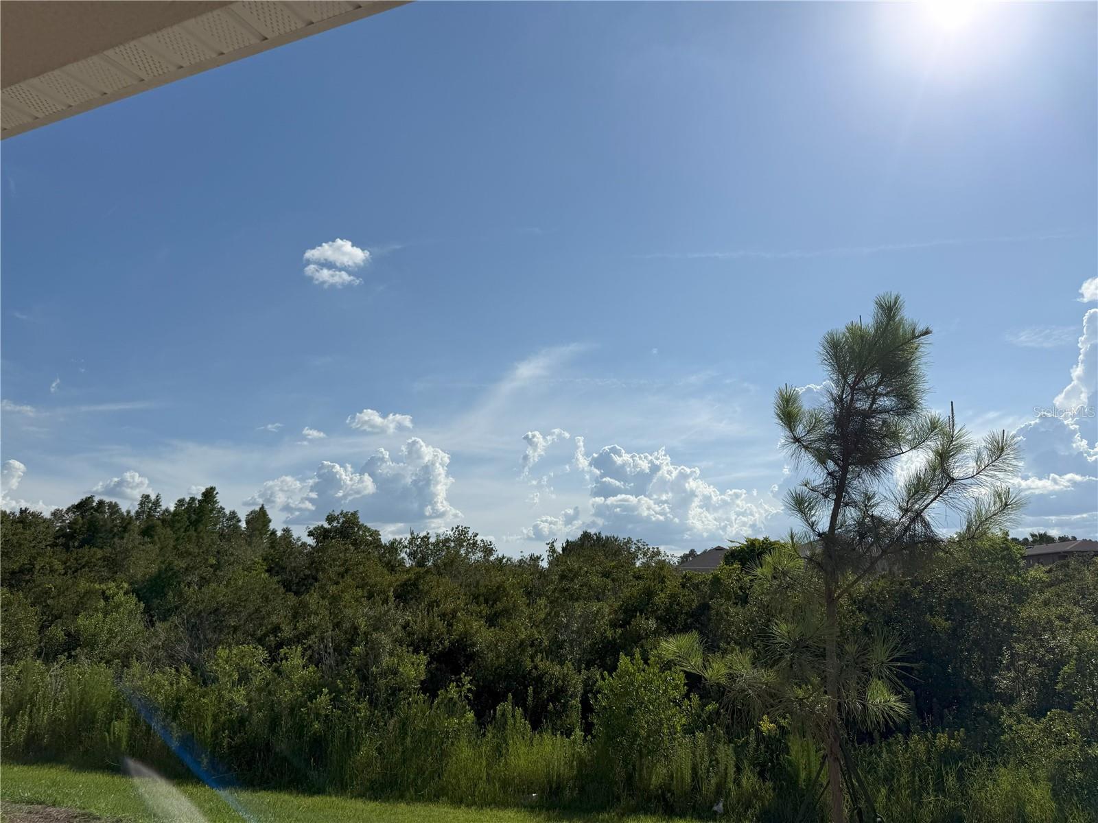 Listing photo id 2 for 2113 Warren Acres Boulevard