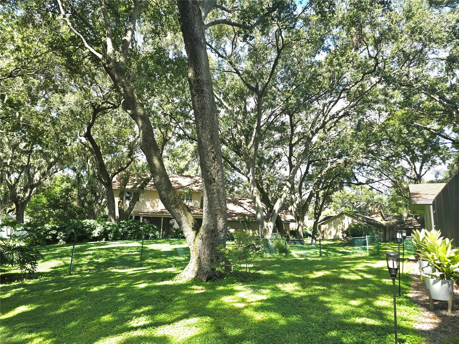 Image 50 of 54 For 909 Heatherbrook Drive