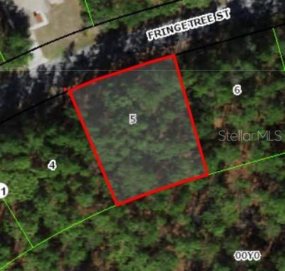 Details for 37 Fringetree Street, HOMOSASSA, FL 34446