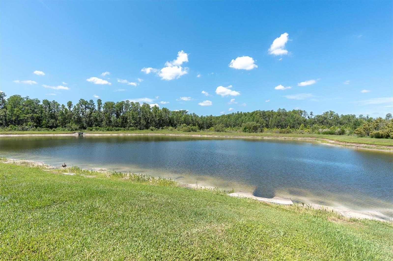 Listing photo id 52 for 3477 Barbour Trail