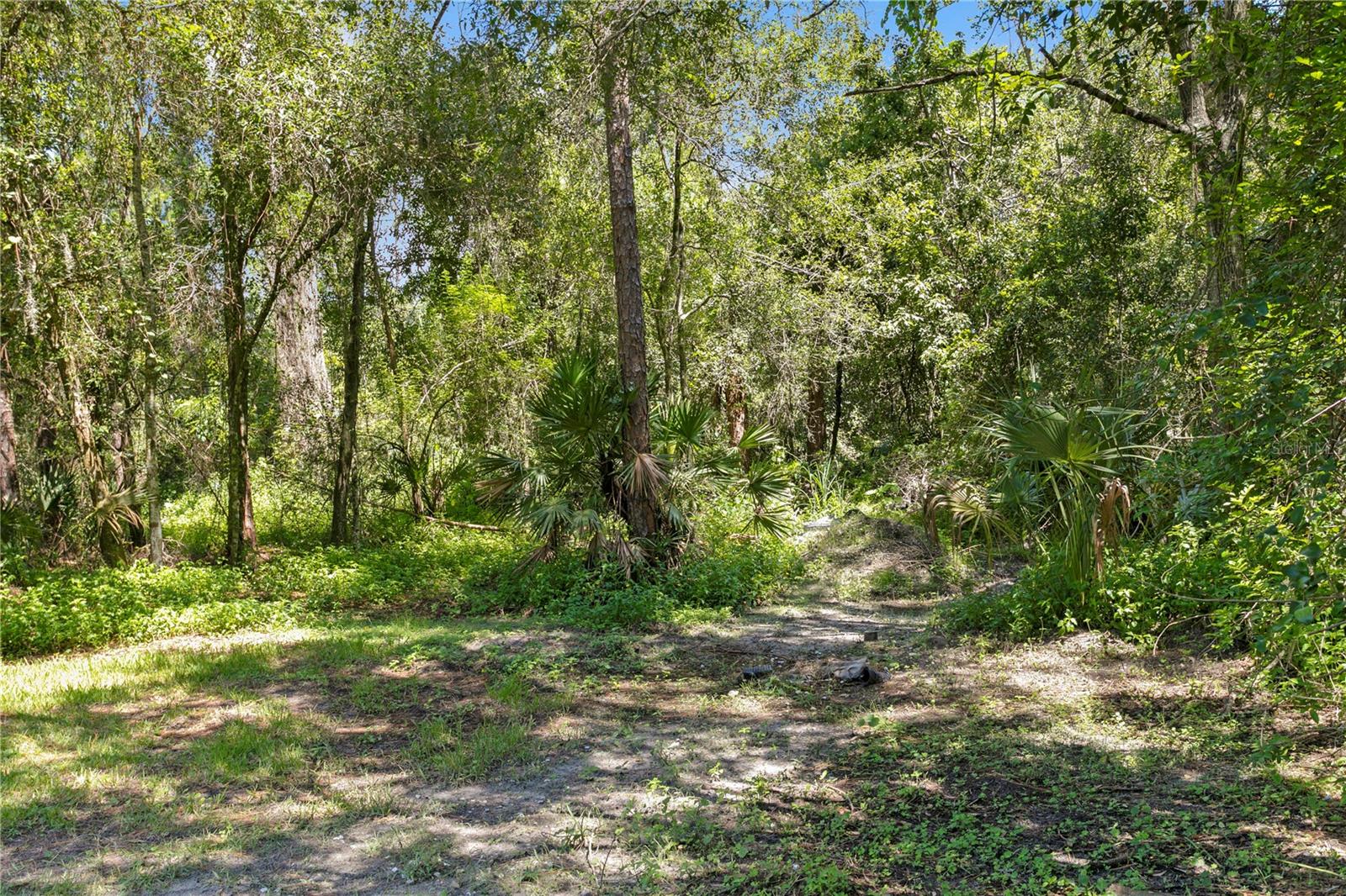 Image 69 of 98 For 12534 Bronco Drive