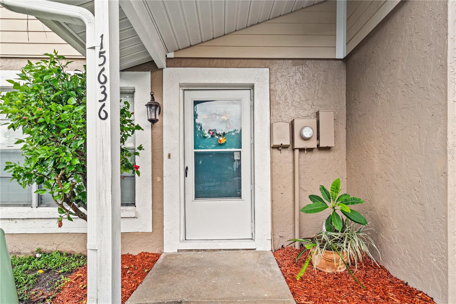 Details for 15636 Morning Drive, LUTZ, FL 33559