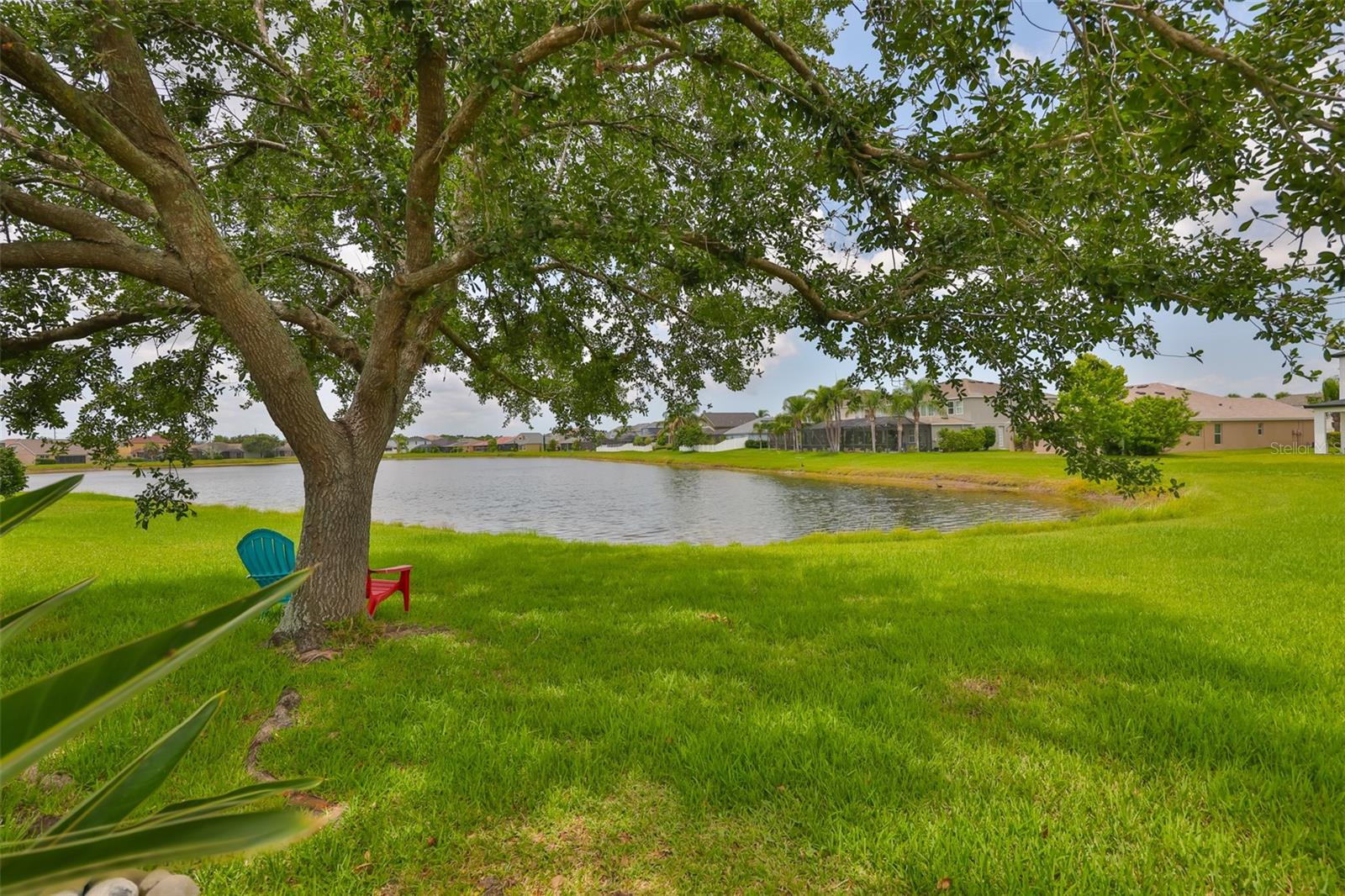Image 14 of 59 For 13728 Artesa Bell Drive