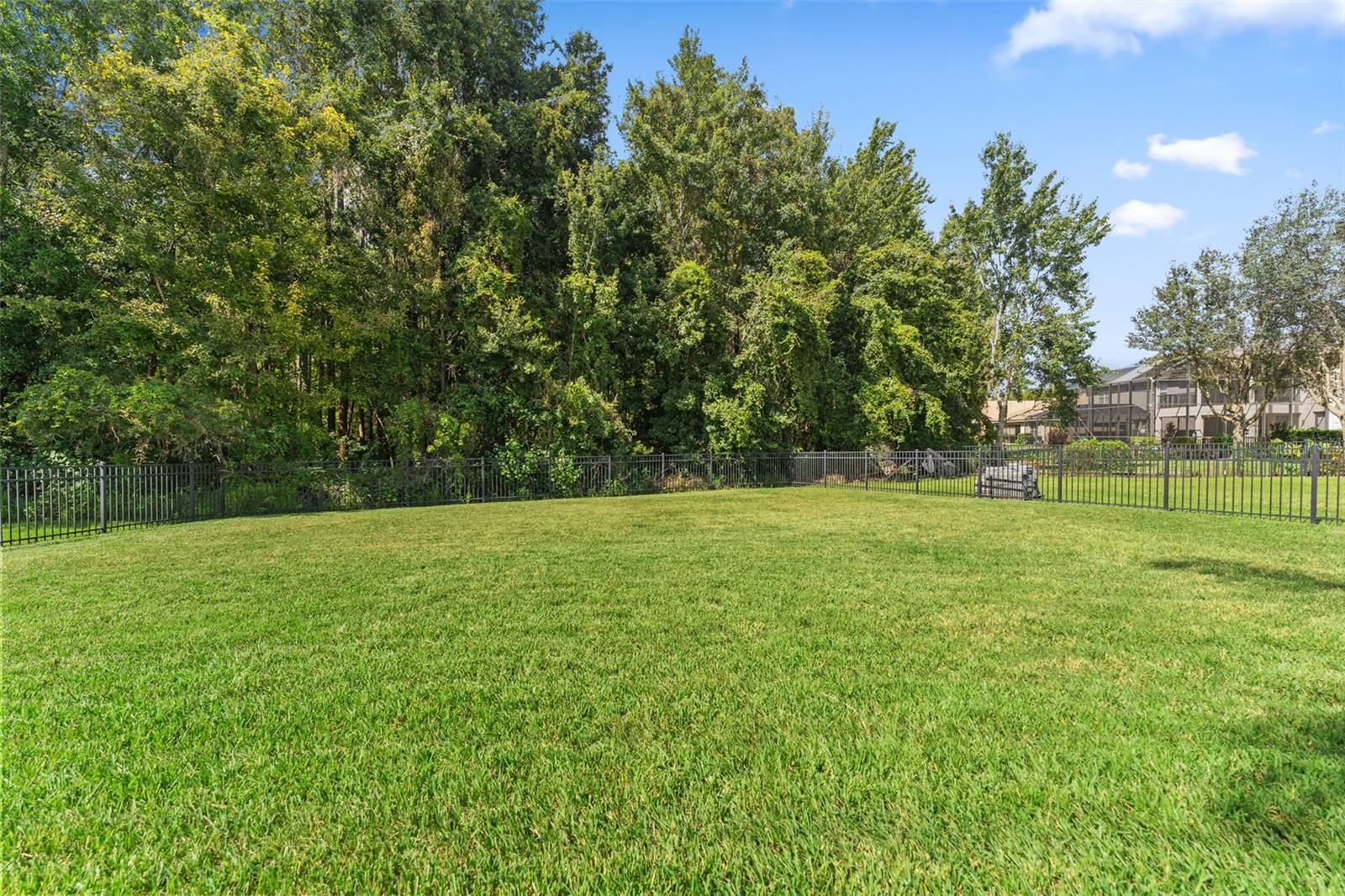 Image 48 of 64 For 10886 Cory Lake Drive