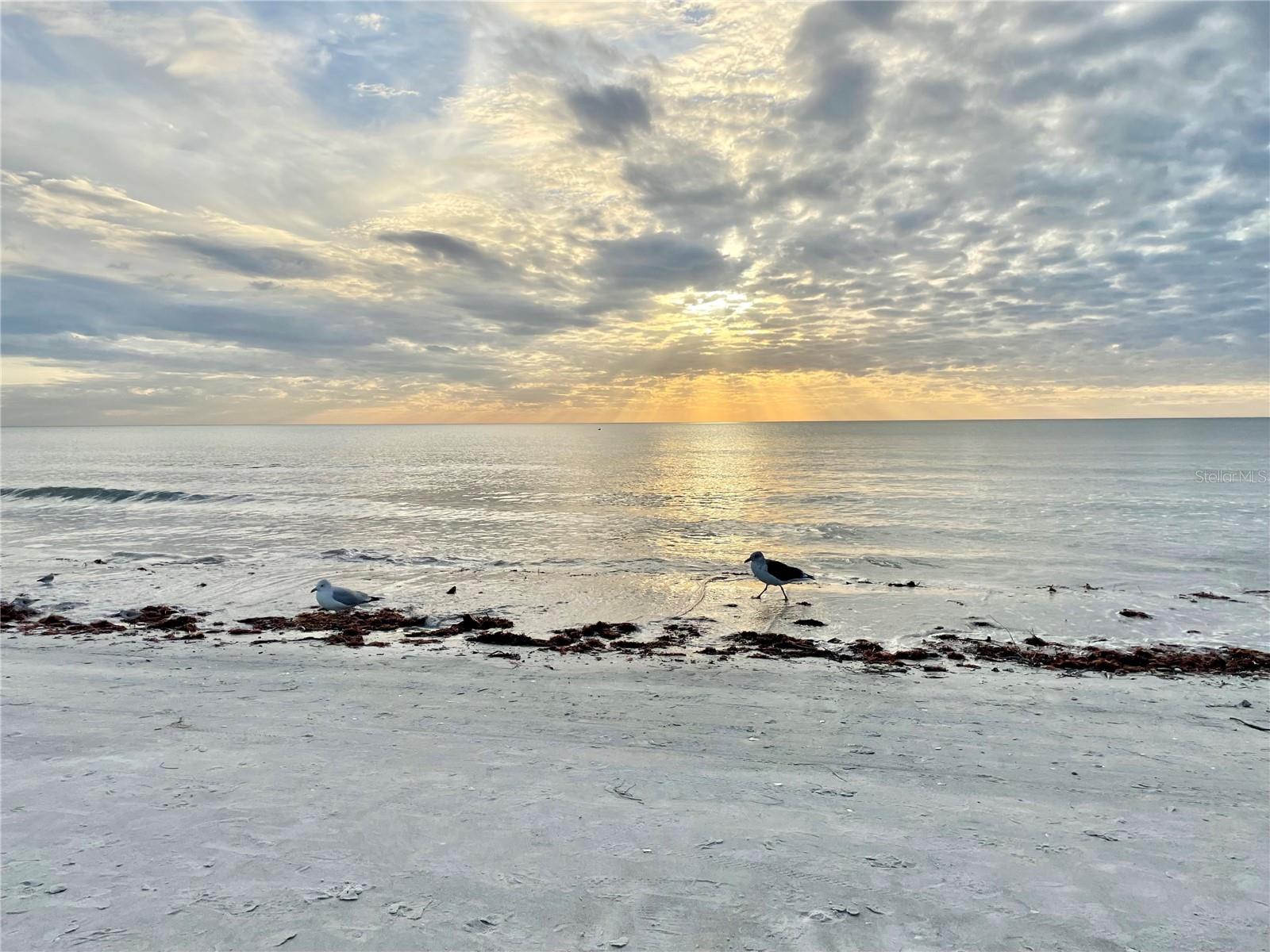 Image 48 of 48 For 17715 Gulf Boulevard 303