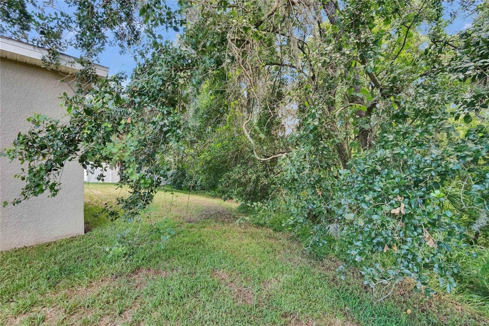 Image 52 of 54 For 2823 Holly Bluff Court