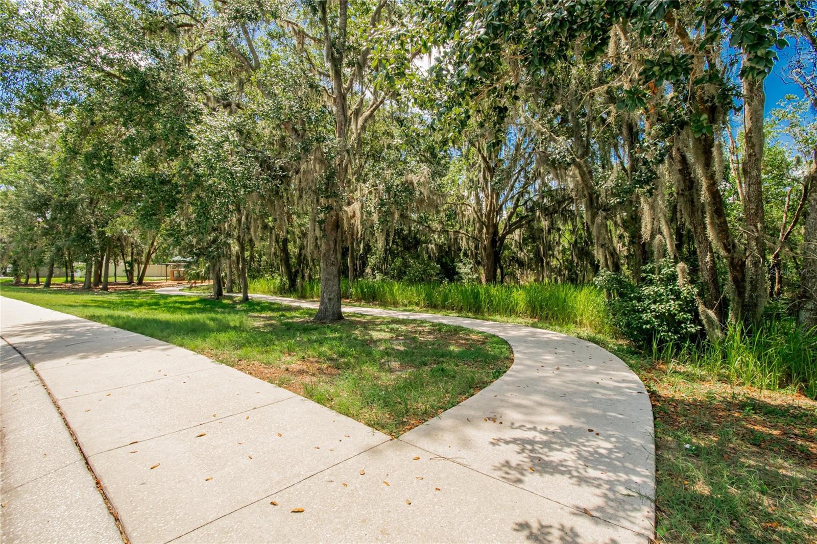 Image 54 of 54 For 2823 Holly Bluff Court