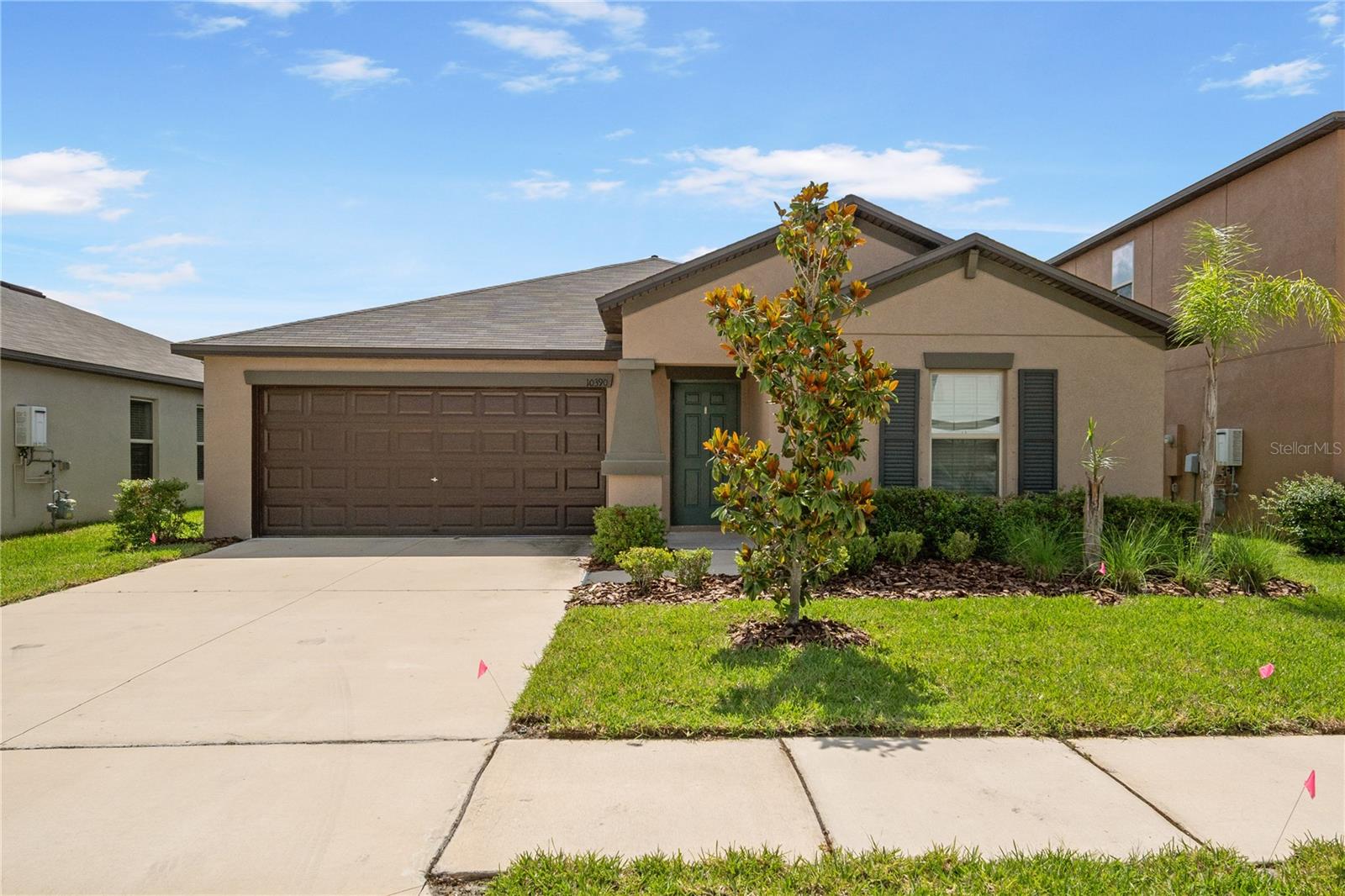 Details for 10390 Scarlett Skimmer Drive, RIVERVIEW, FL 33578