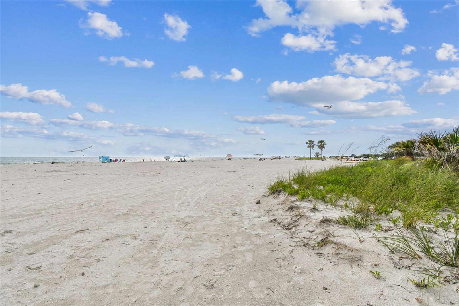 Image 37 of 40 For 2452 Bayshore Boulevard