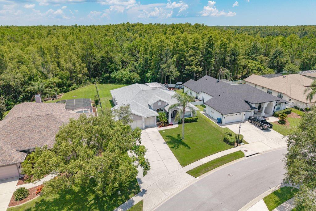 Image 50 of 57 For 8214 Silver Mist Place