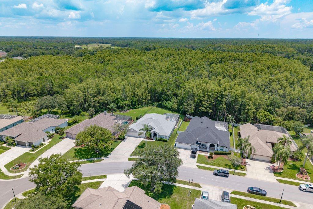 Image 52 of 57 For 8214 Silver Mist Place