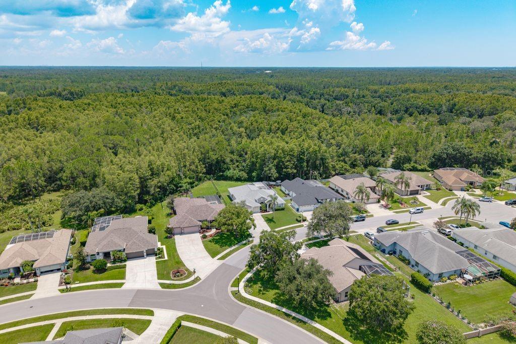 Image 53 of 57 For 8214 Silver Mist Place