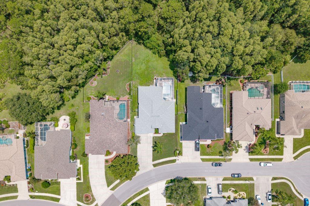 Image 54 of 57 For 8214 Silver Mist Place