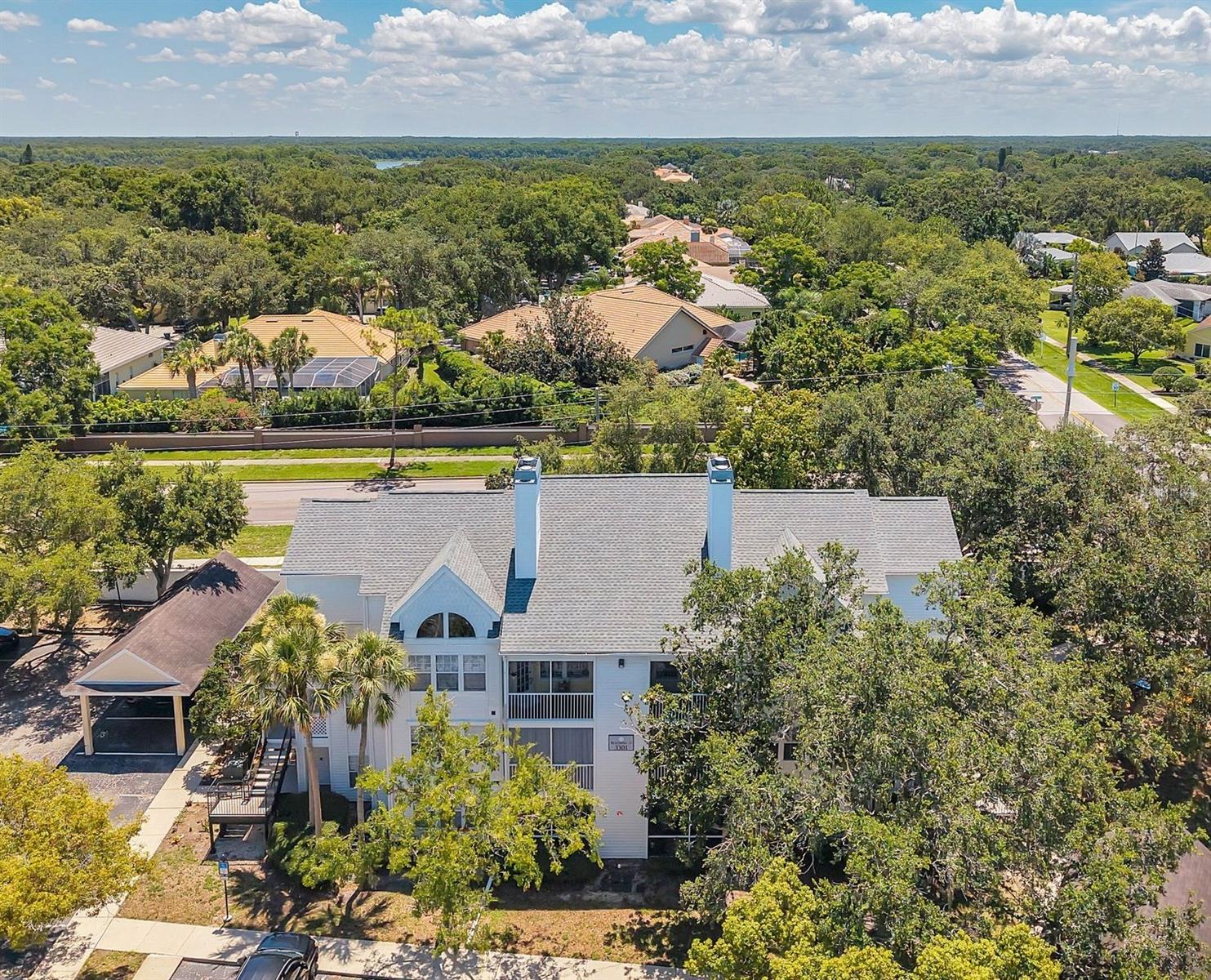 Details for 3301 Haviland Ct  301, PALM HARBOR, FL 34684