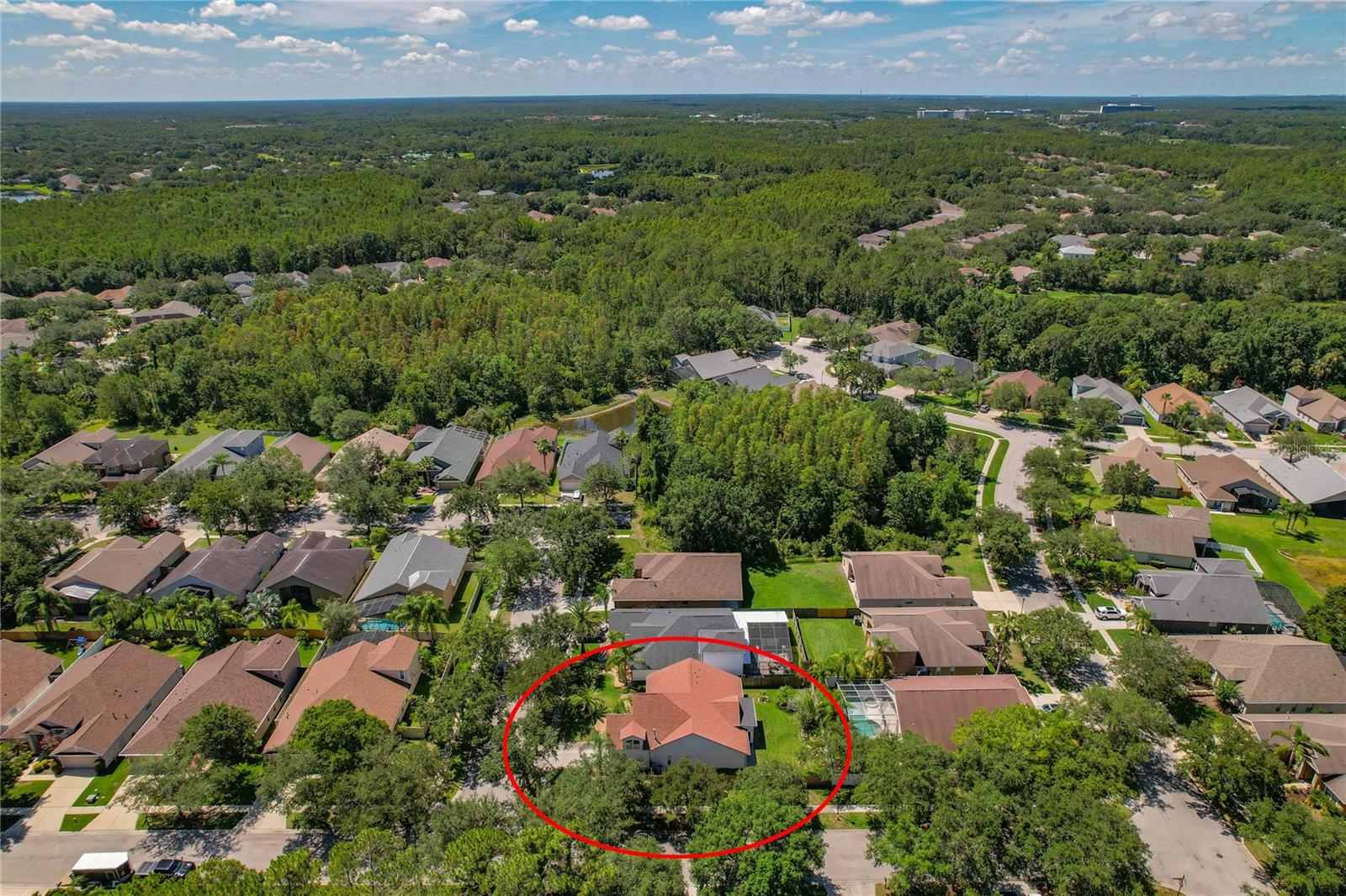 Image 58 of 76 For 19206 Ivy Oak Way