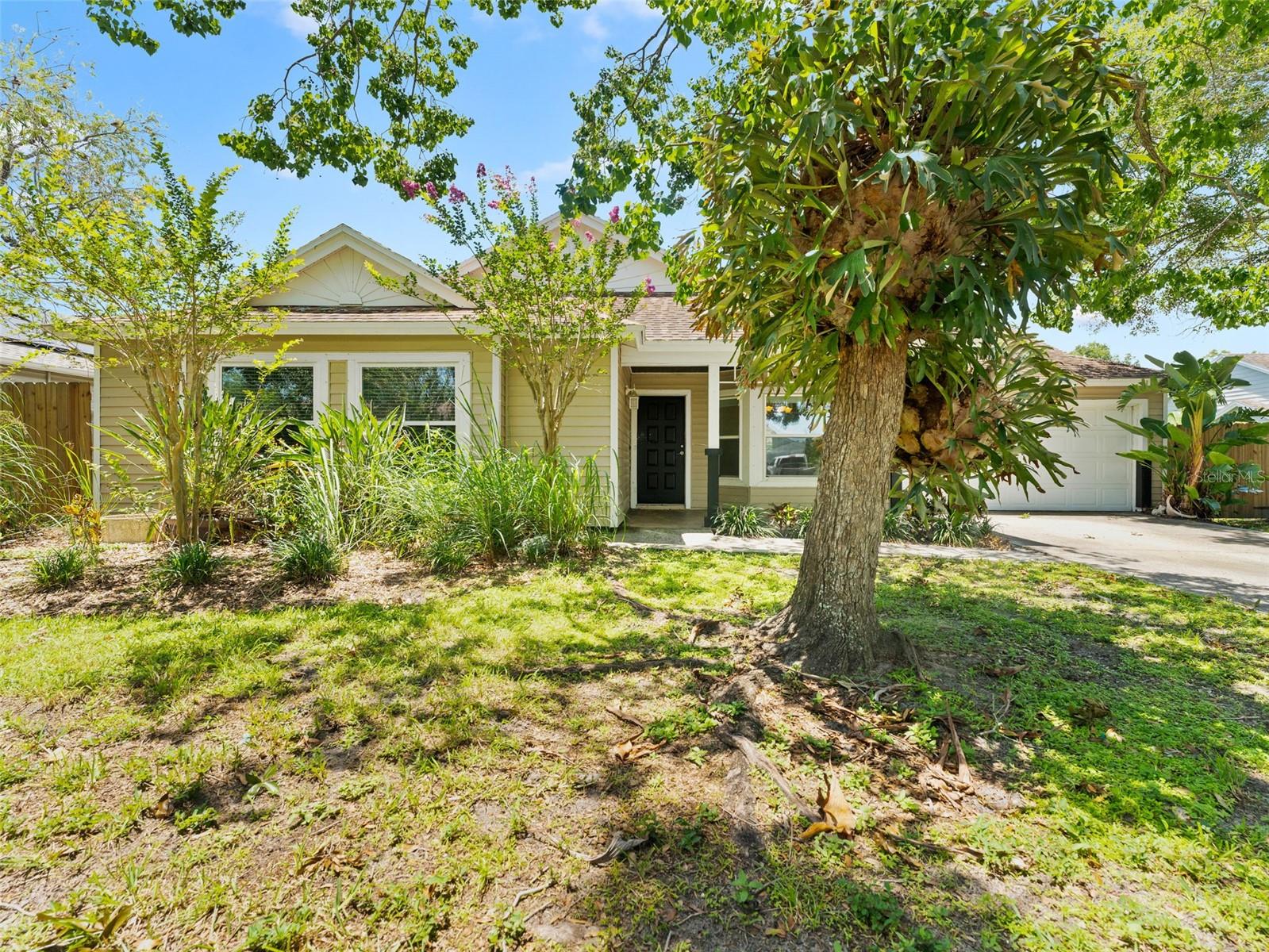 Details for 2068 Diane Avenue, PALM HARBOR, FL 34683
