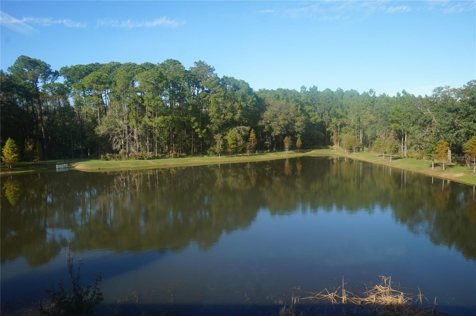 Listing photo id 28 for 5509 Cumberland Star