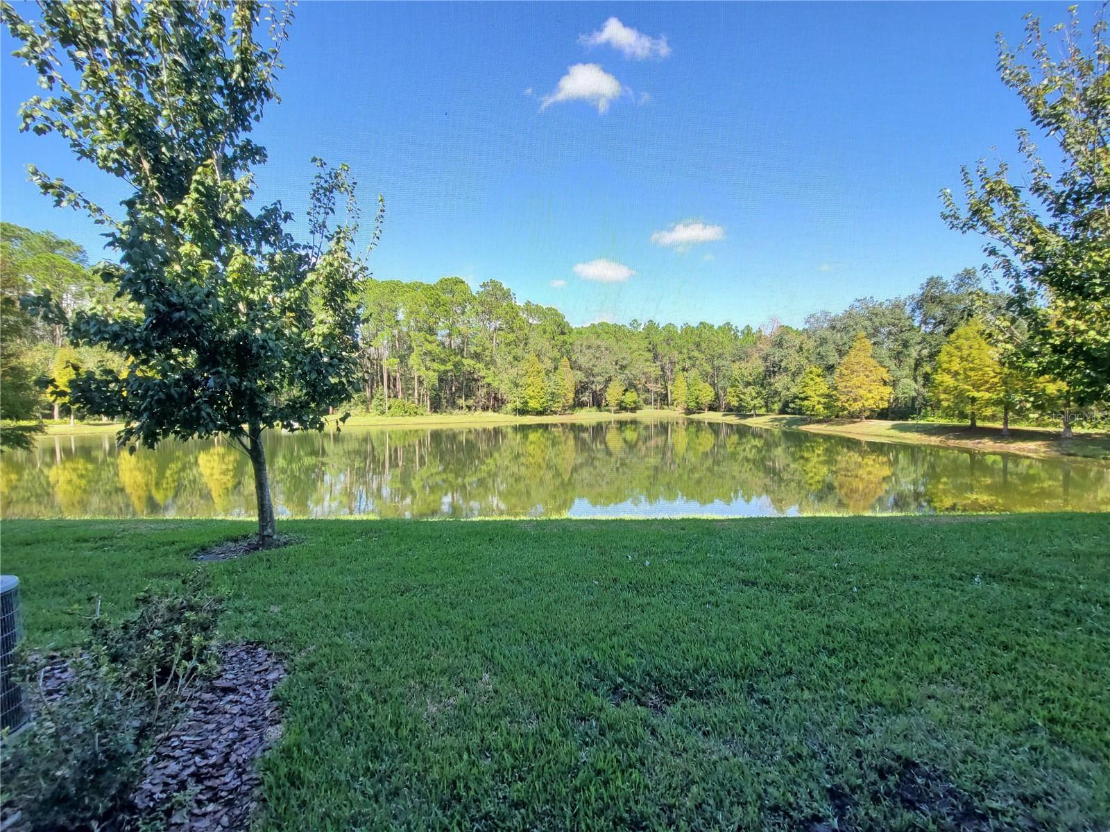 Listing photo id 45 for 5509 Cumberland Star