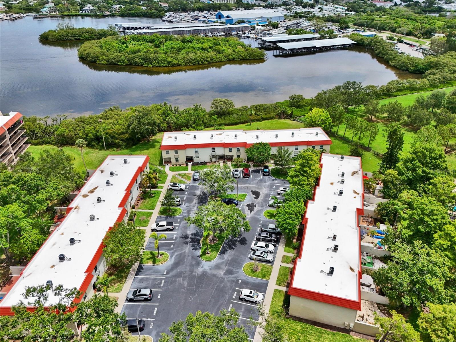 Image 62 of 69 For 2700 Bayshore Boulevard 544