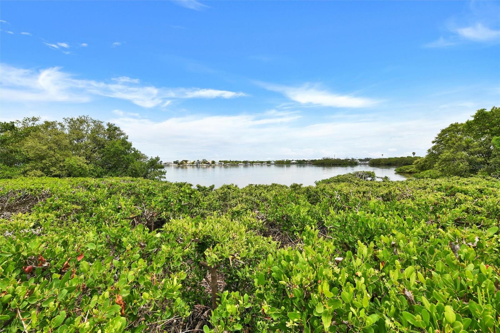 Image 69 of 69 For 2700 Bayshore Boulevard 544