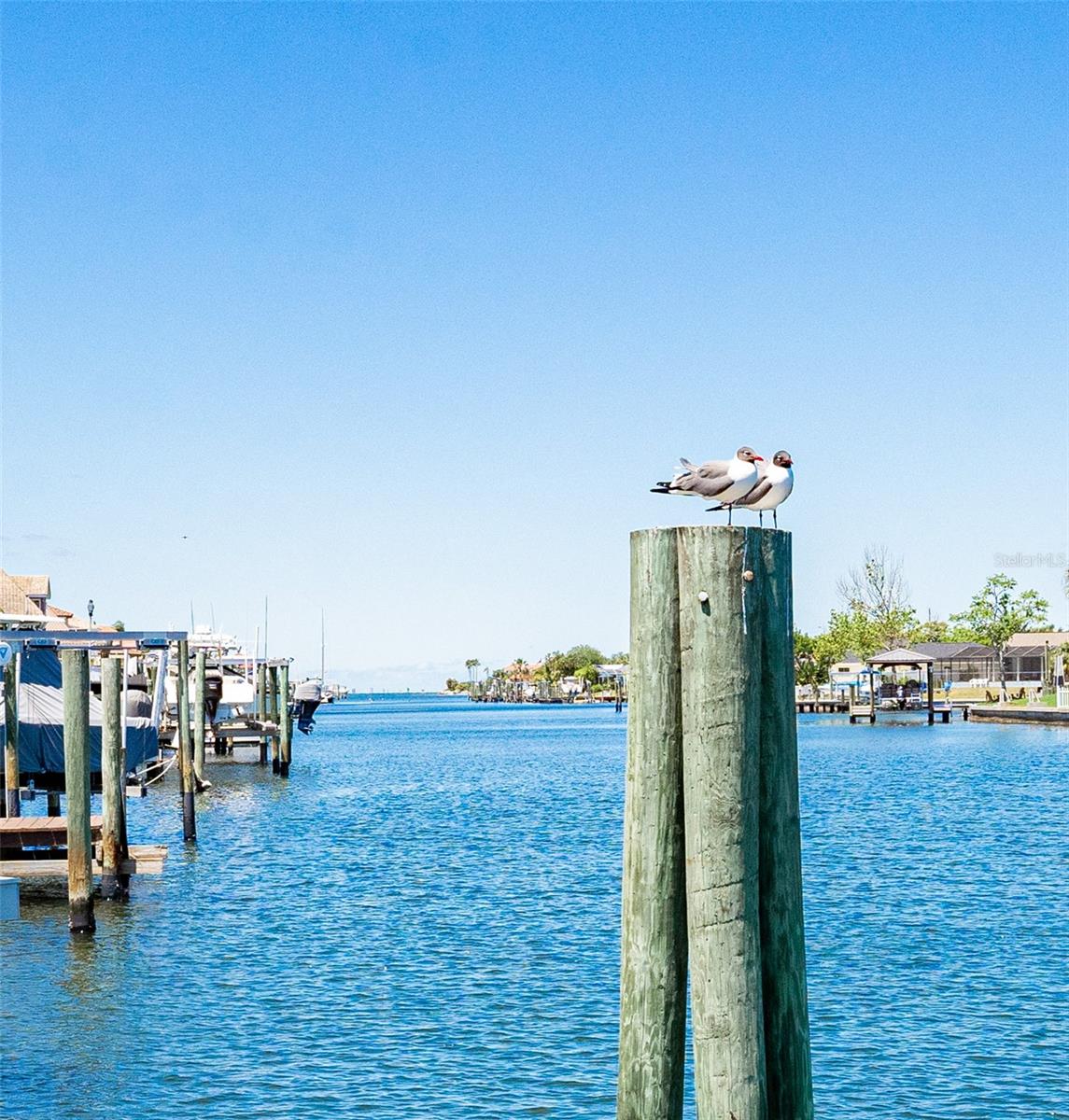 Listing photo id 52 for 835 Symphony Isles Boulevard